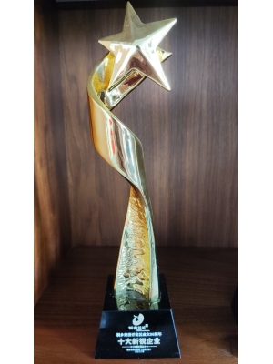 桐鄉經濟開發區成立30周年 十大新銳企業